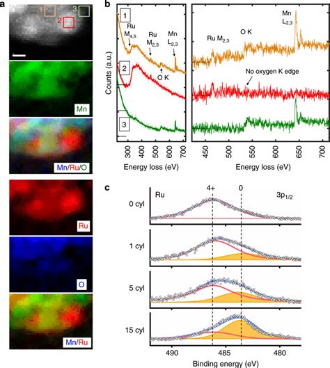 eels spectroscopy